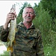 17. Вот такие щуки на Конде